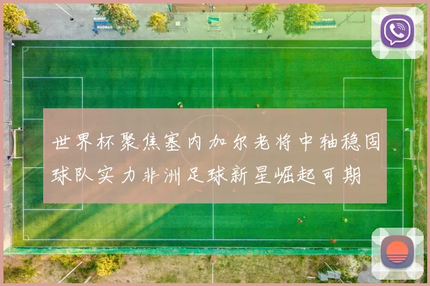 世界杯聚焦塞内加尔老将中轴稳固球队实力非洲足球新星崛起可期