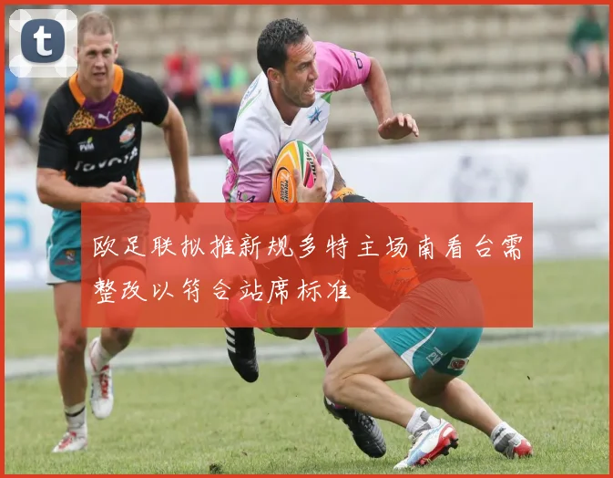 欧足联拟推新规多特主场南看台需整改以符合站席标准