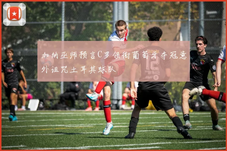 加纳巫师预言C罗领衔葡萄牙夺冠意外诅咒土耳其球队