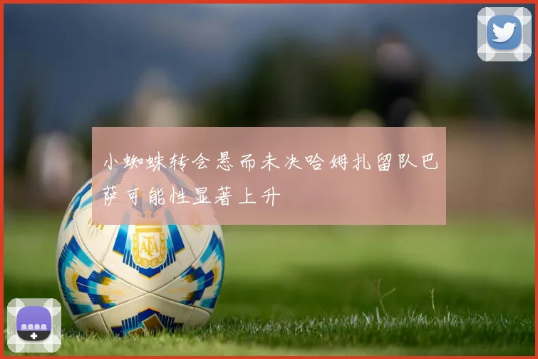 小蜘蛛转会悬而未决哈姆扎留队巴萨可能性显著上升