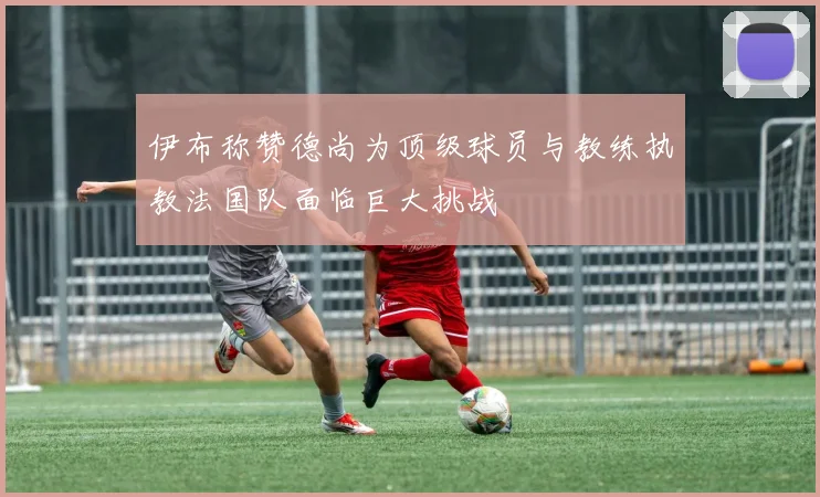 伊布称赞德尚为顶级球员与教练执教法国队面临巨大挑战