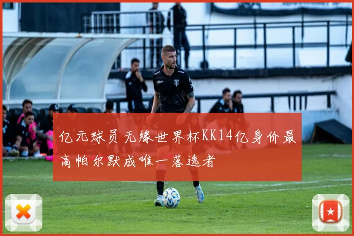 亿元球员无缘世界杯KK14亿身价最高帕尔默成唯一落选者